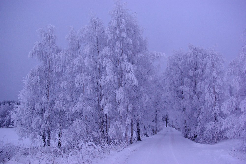 A village road in frost