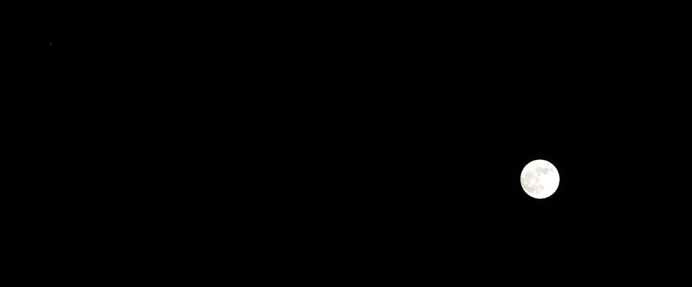 Comment Image