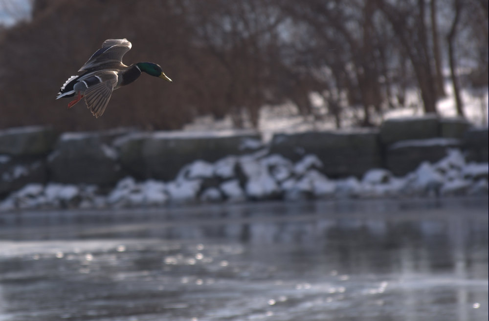 On the glide path