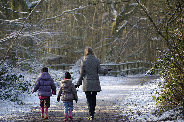 A winters walk