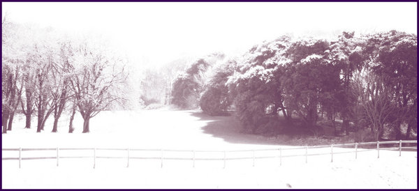 High-key winter landscape