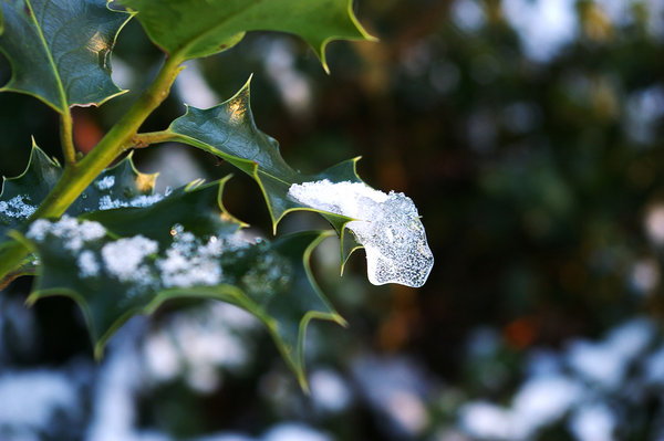 Ice