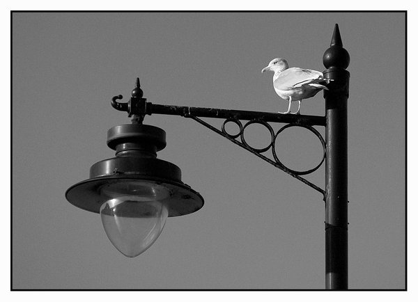 lamp