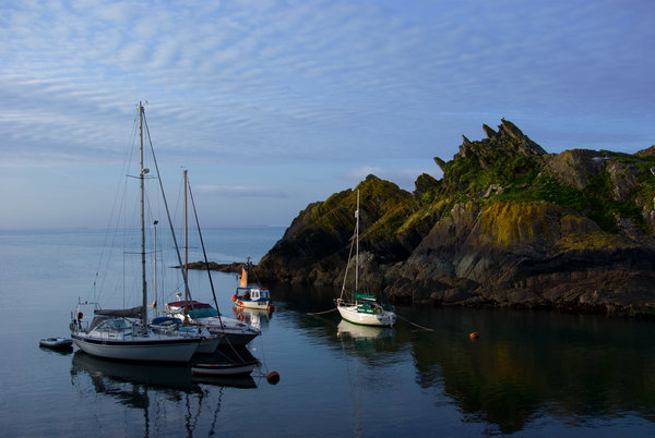Polperro Harbour