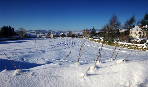 snow,snow ,snow!