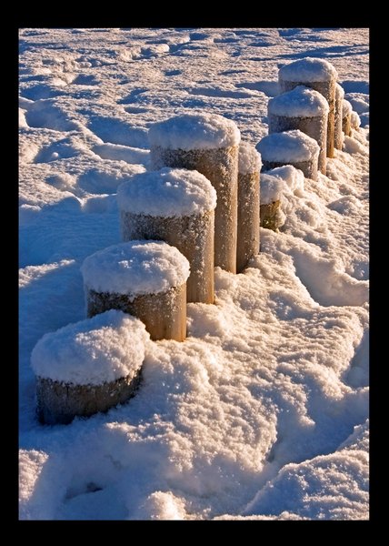 Stumps.