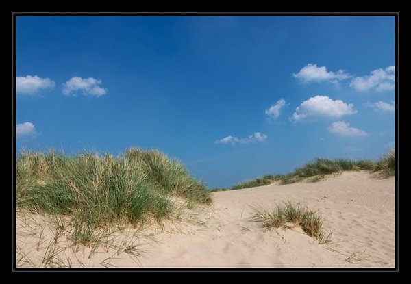 The beach