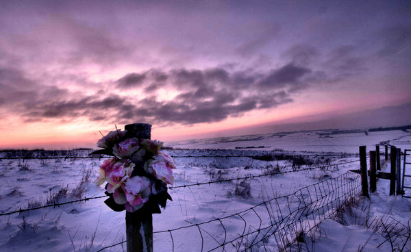 winter landscape