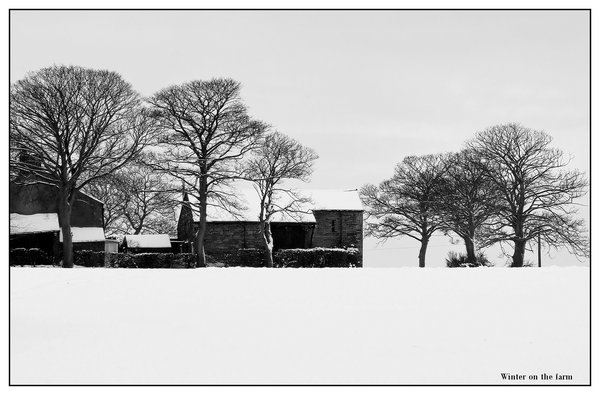 Winter on the farm
