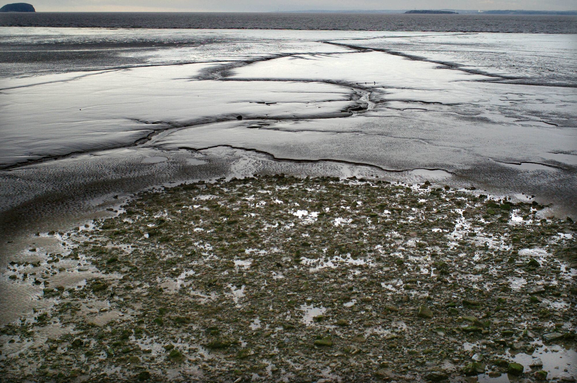 Mud Flats