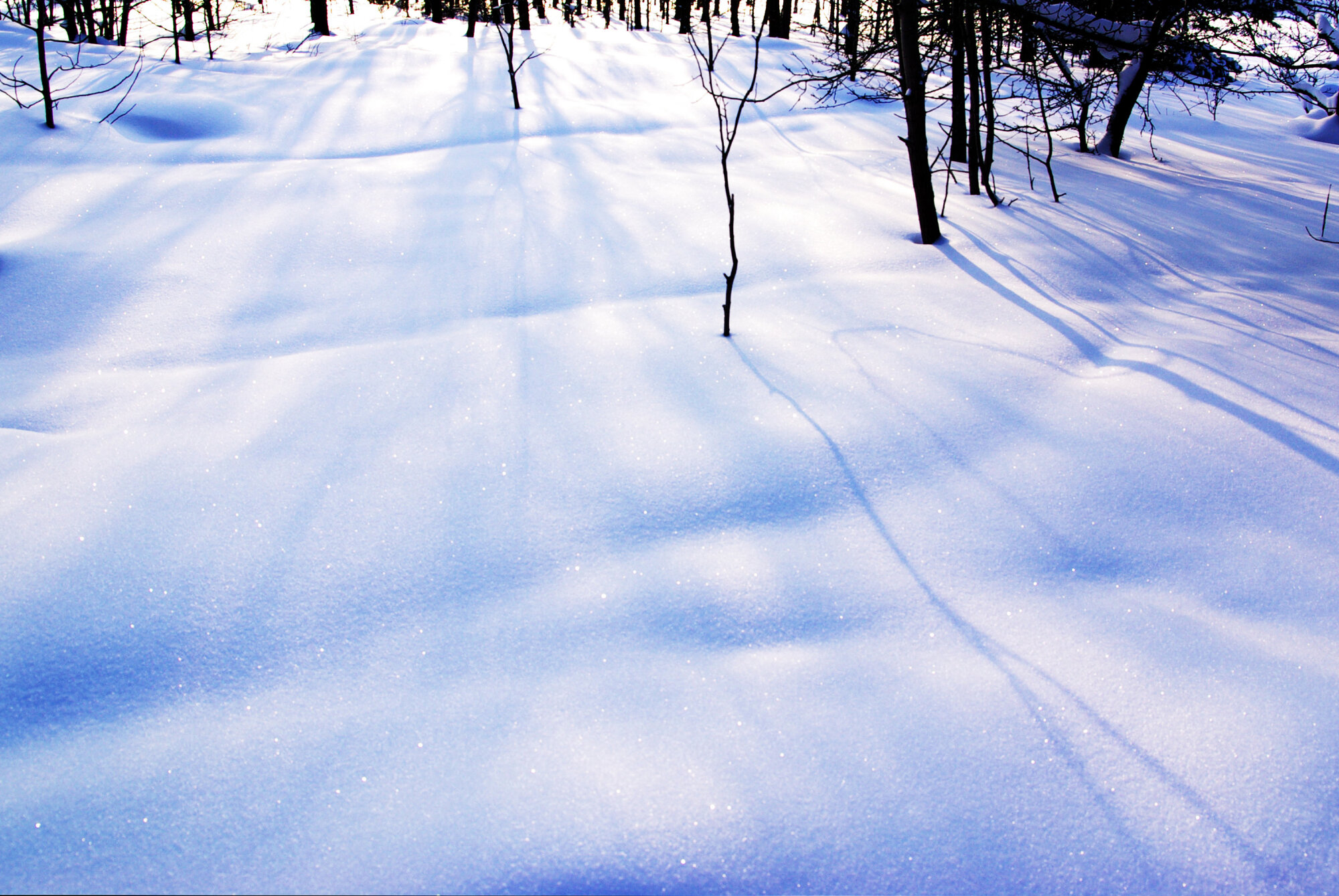 Vinterland #4