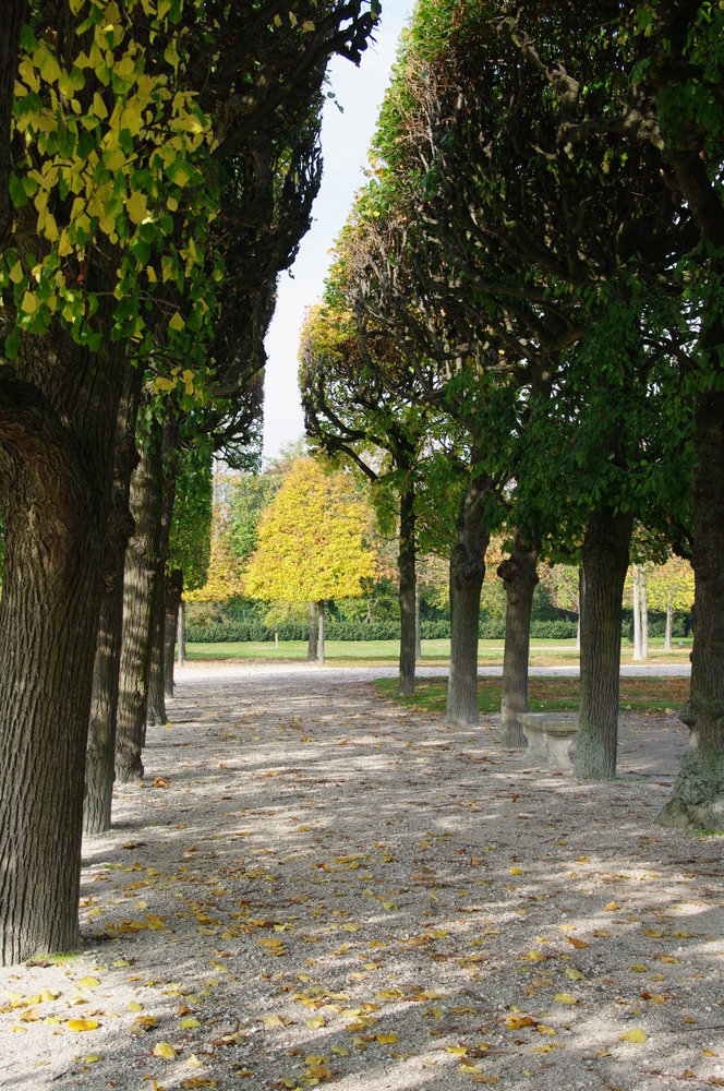 autumn