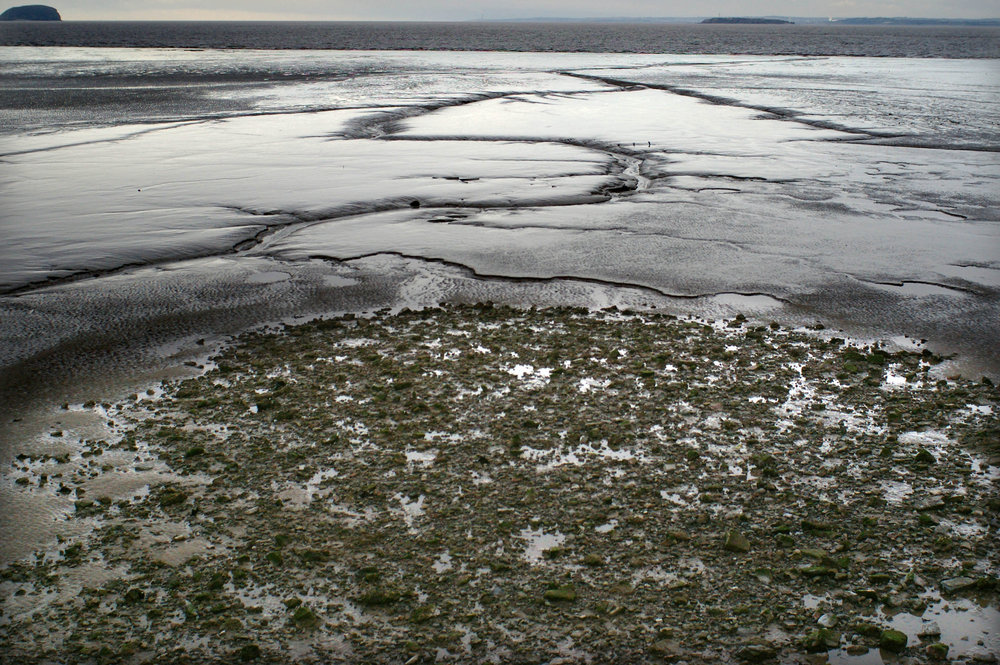 Mud Flats