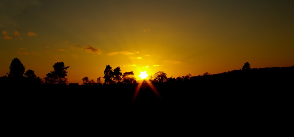Sunset at Tunstall Forest in Suffolk