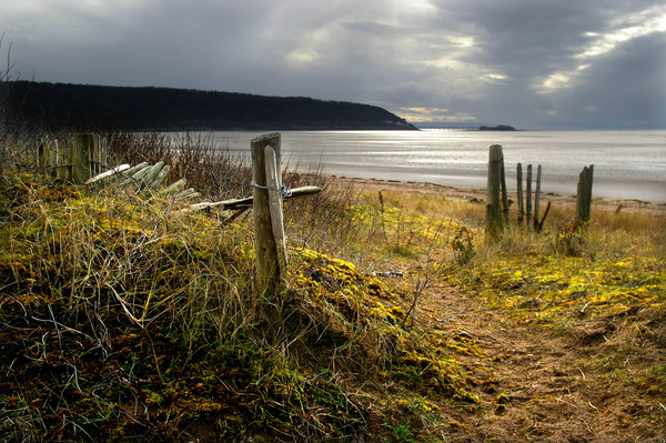 Drfiting Dunes