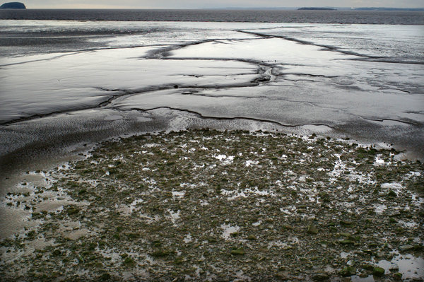 Mud Flats