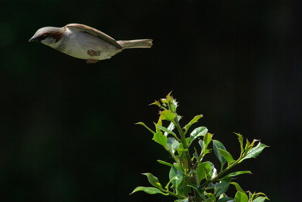 Take Off