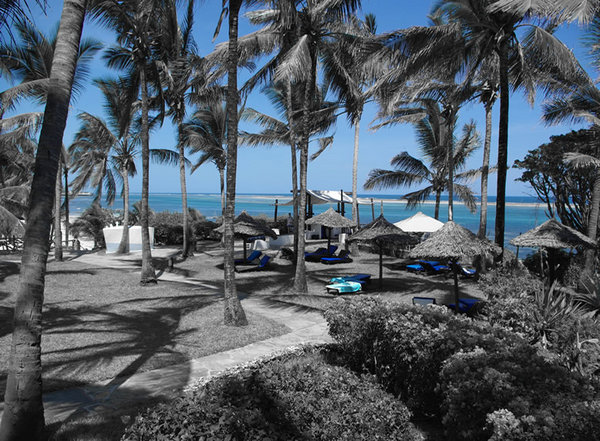 The beach