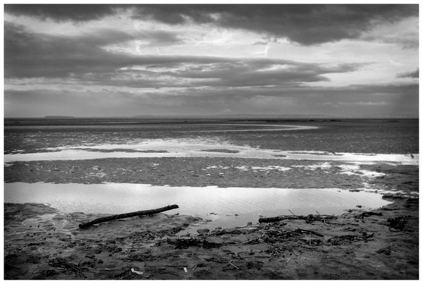 Tidal Wrack