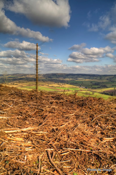 View Over Wolvesnewton