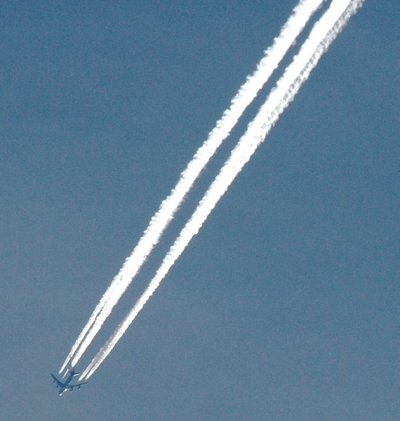 Wonder where they are going.