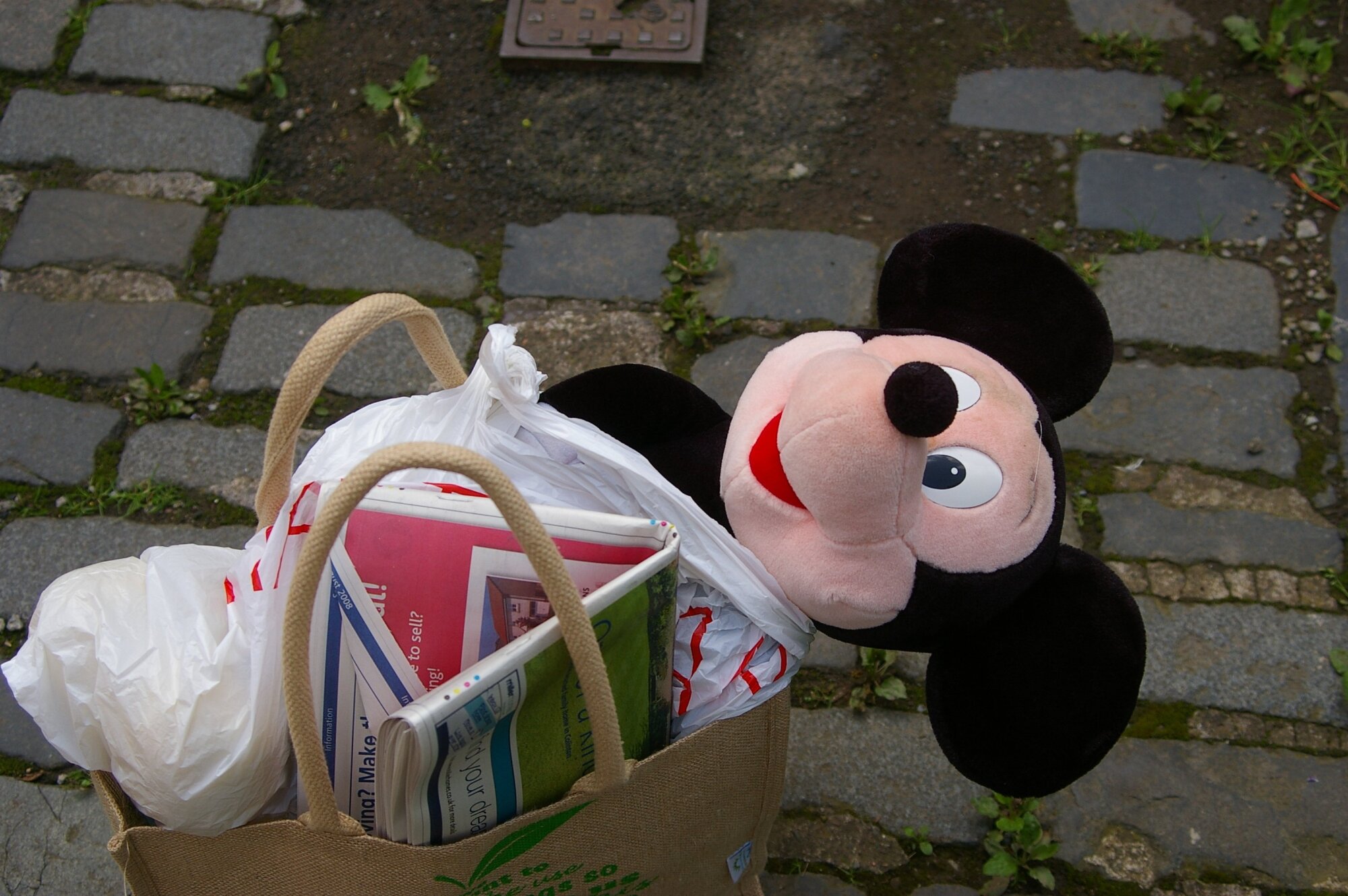 MICKEY