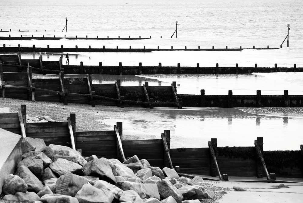 Solitary Seasider