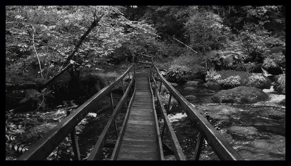 Bridge