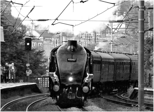 Exxpress steam