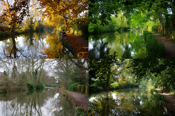 Four Seasons - Source Photos