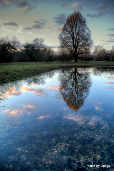 Reflections