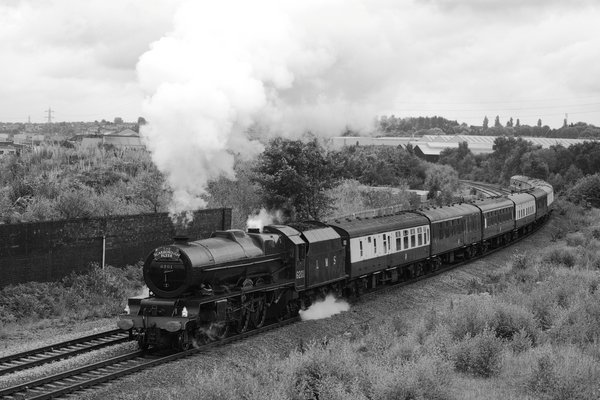 Scarborough Steamer