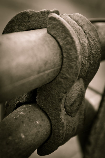 Sheepyard Gate (Detail)