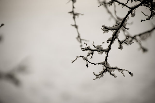 winter freezing fog, Ireland