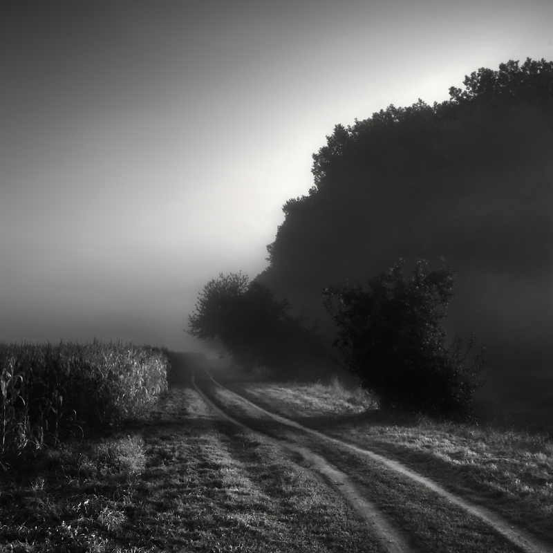 On the way into the mist...