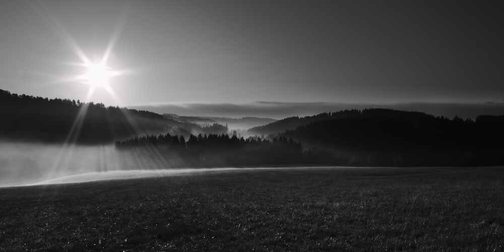 Spring Dawn