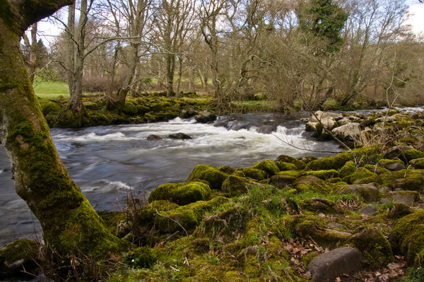Afon Dwyfor