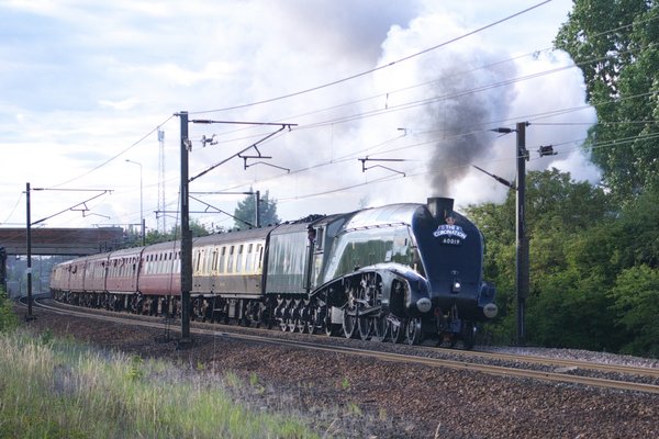 Blowing Bittern