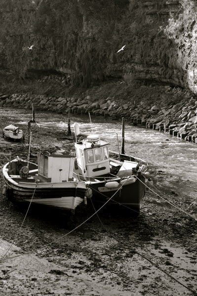 Fisherman's friends