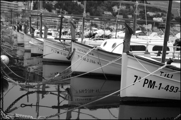 Fishing Boats, Puerto Soller, Majorca