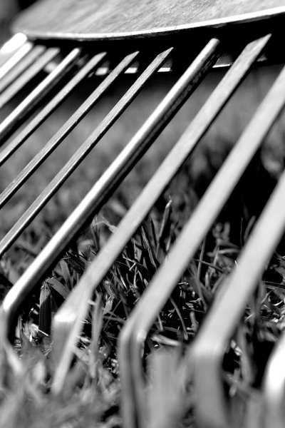garden stuff