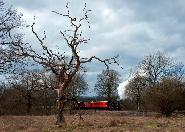 Mixed Branch Line Train