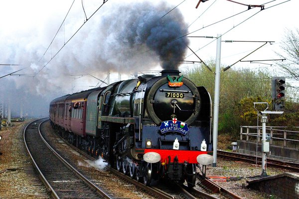 Steam Survivor