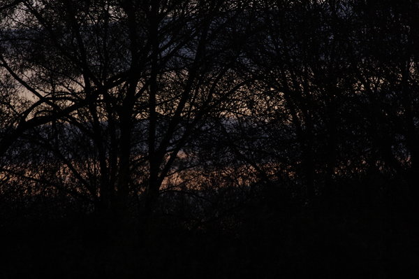 Sunset on the R.Lea at Amwell N.reserve