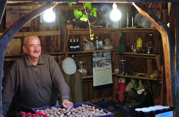 Walnut and Fruit Extract Seller