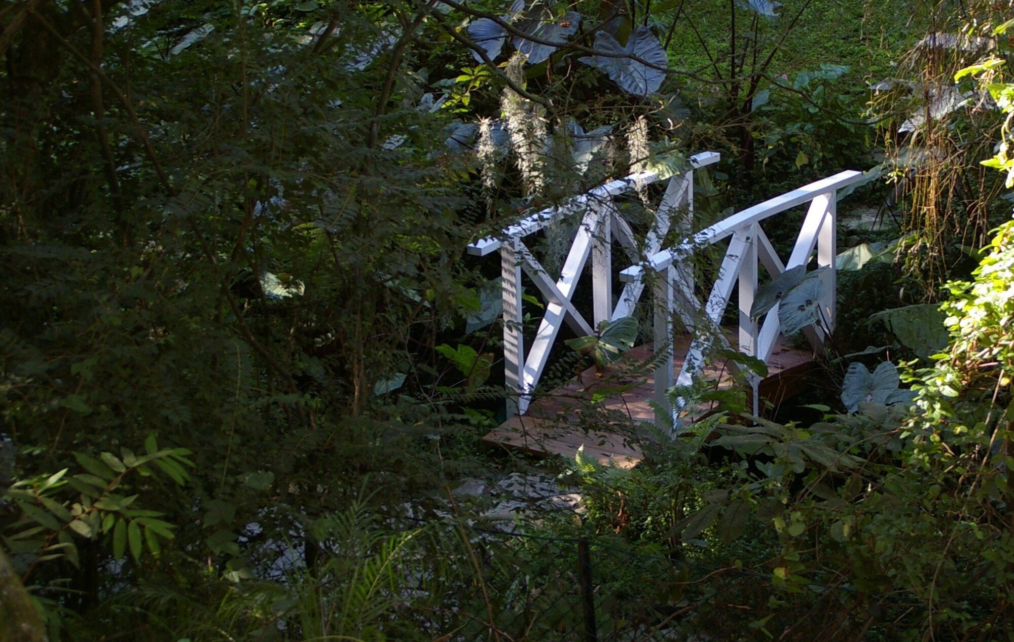 Bridge to the secret garden