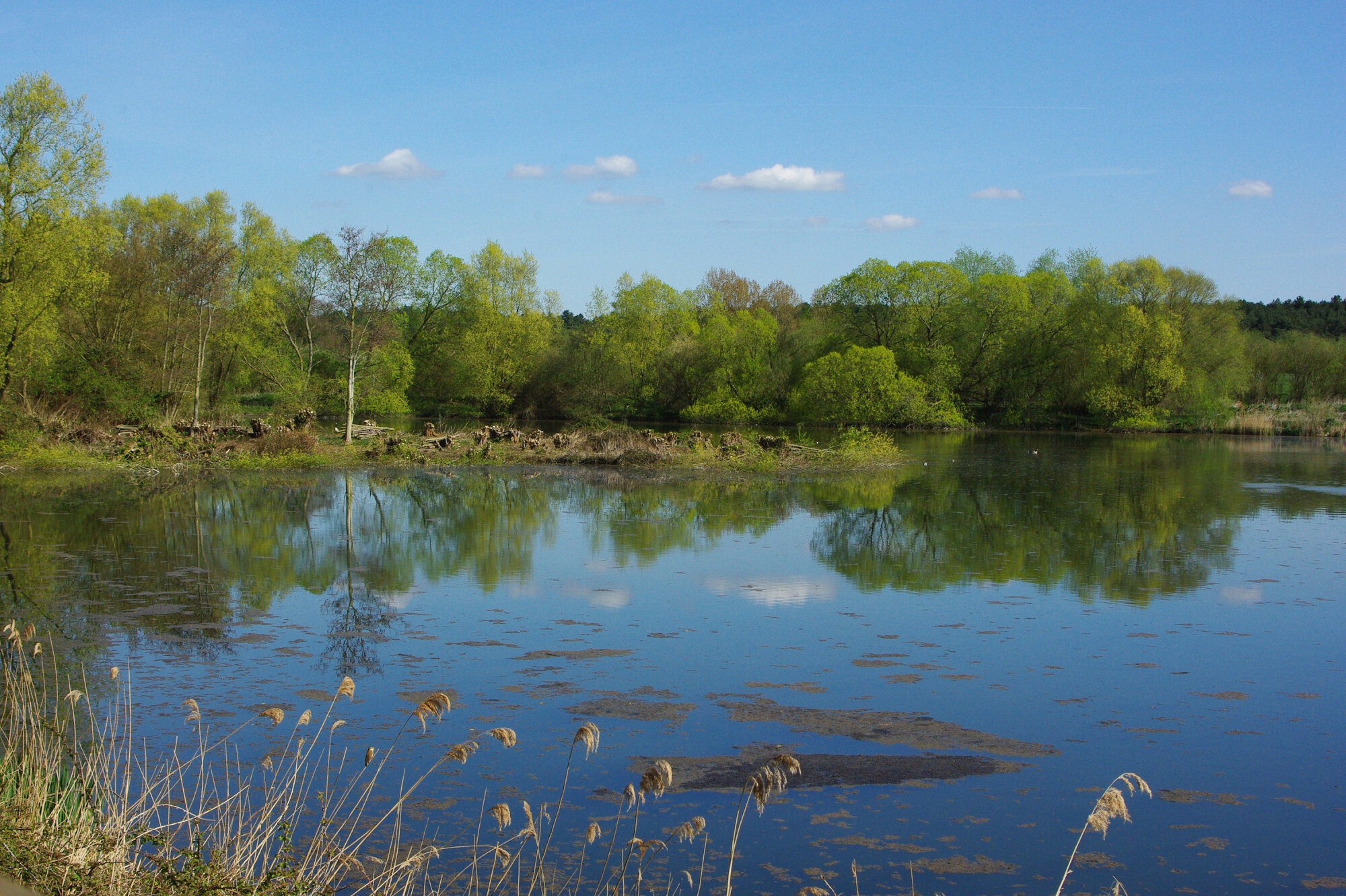Lackford Lakes