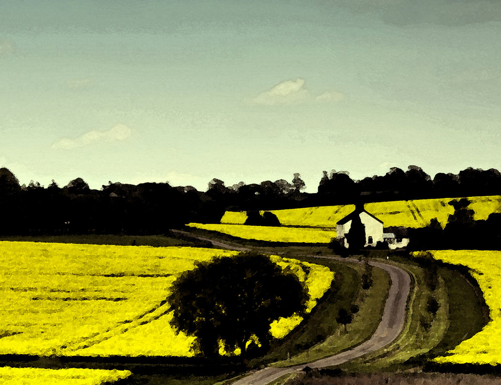 Fields of gold? (2)