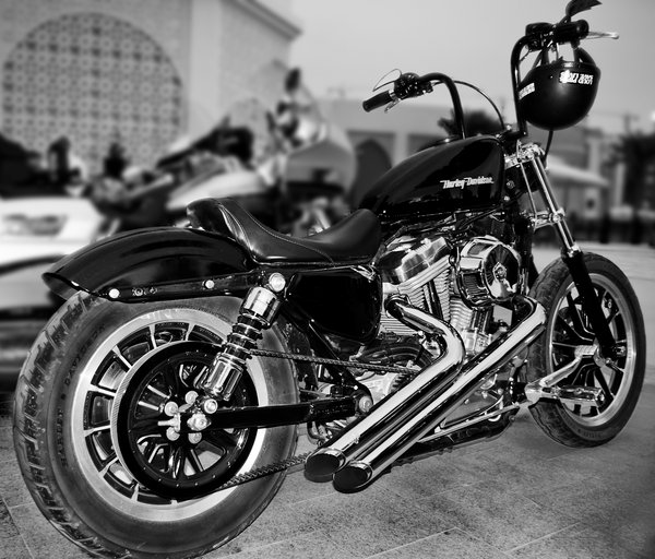 Harley Street Bob