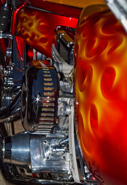 Hog